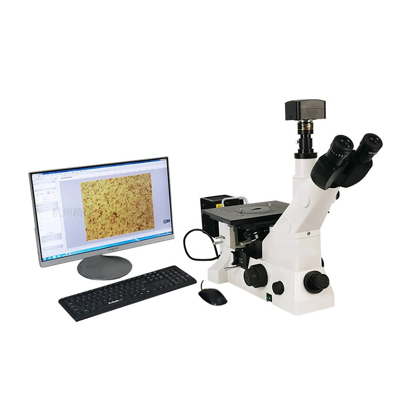 Microscopio metallografico invertito MS900/MS600/MM600